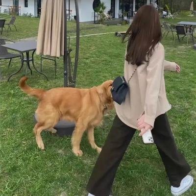 迷幻甜心